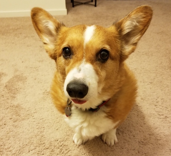 KarenβAmbassadorβ - Picture 2 of 15